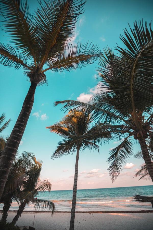 Breezy Beachfront Bali-Style Haven 180 Degree Oceanview Hau'ula Buitenkant foto